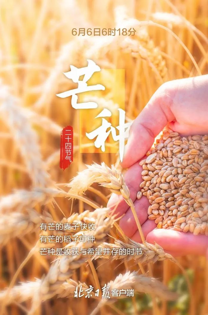 芒種“忙種”，播種新希望！