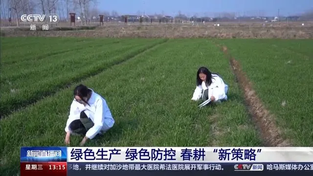 無人機巡田植保、病蟲害自動監測……新農具“上崗”盡顯“科技范”