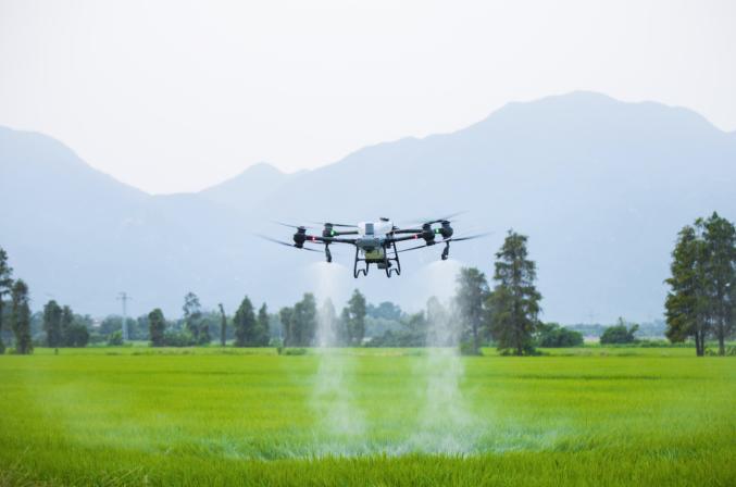 廣州試點無人機運輸苗木化肥上山 造林工效提高18倍